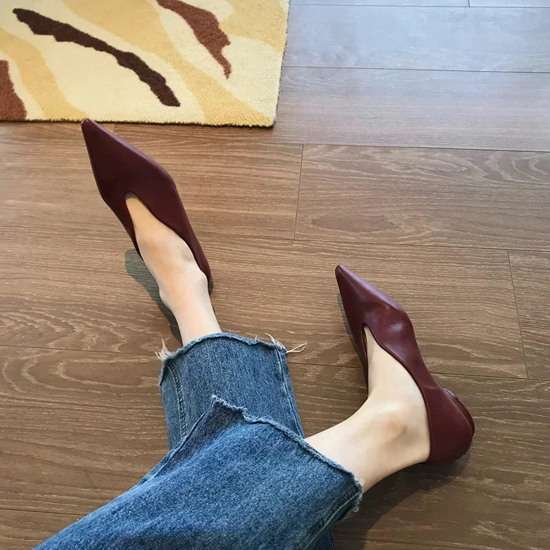 Women's Pointed Toe Retro Mules Shoes Corvine